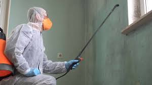 Best Residential Mold Inspection & Testing  in Tunica, MS